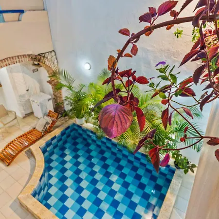 Casa Payis Hotel 4*